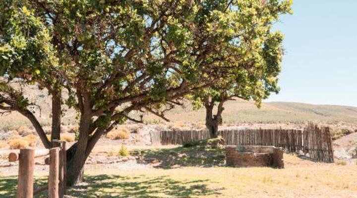 Drie Kuilen Nature Reserve