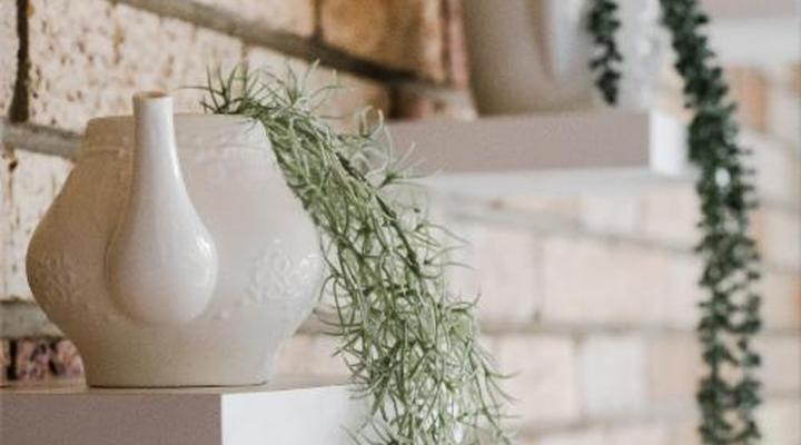 Wagtails Guest House