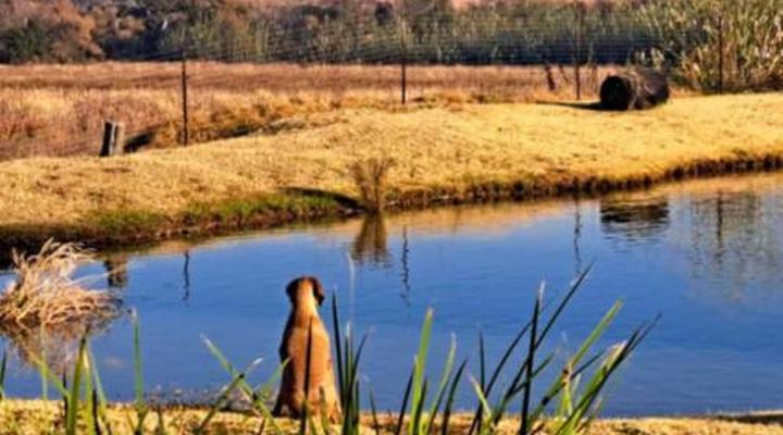 Imbabali Retreat & Venue