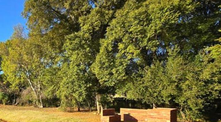 Imbabali Retreat & Venue