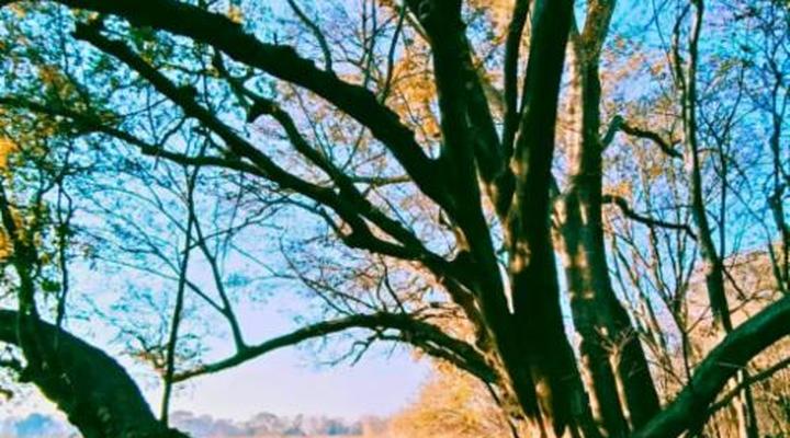 Imbabali Retreat & Venue