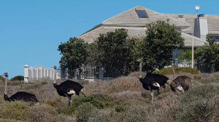 Sonvanger Villa Self-Catering