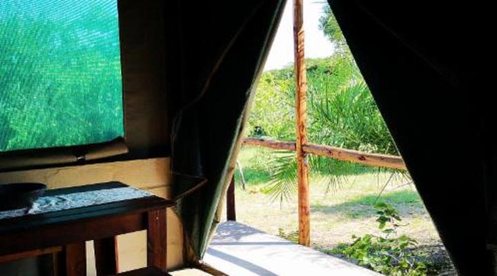 Kingfisher Bush Lodge