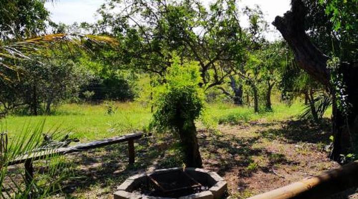 Kingfisher Bush Lodge