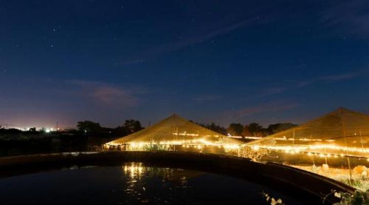 Rose & Ivy Guesthouse