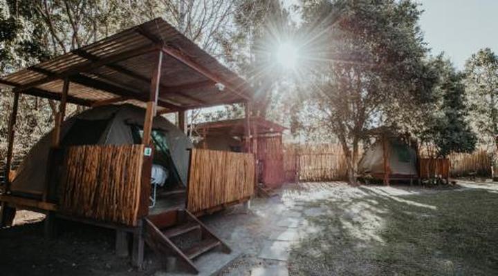 Storms River Forest Lodge