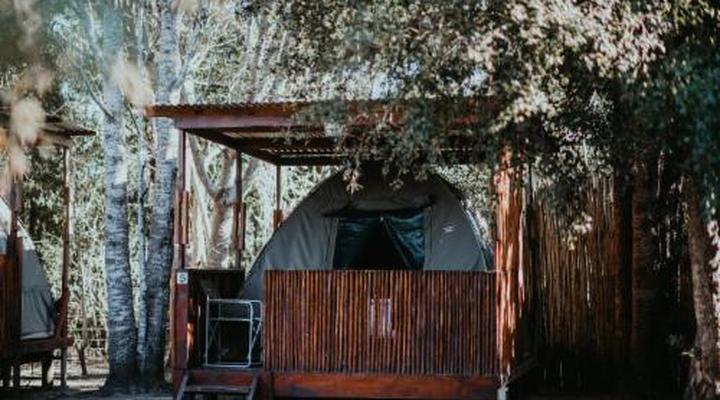 Storms River Forest Lodge