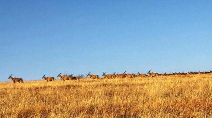 Uitzicht Private Nature Reserve and Lodge