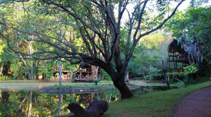 Serenity Mountain and Forest Lodge 