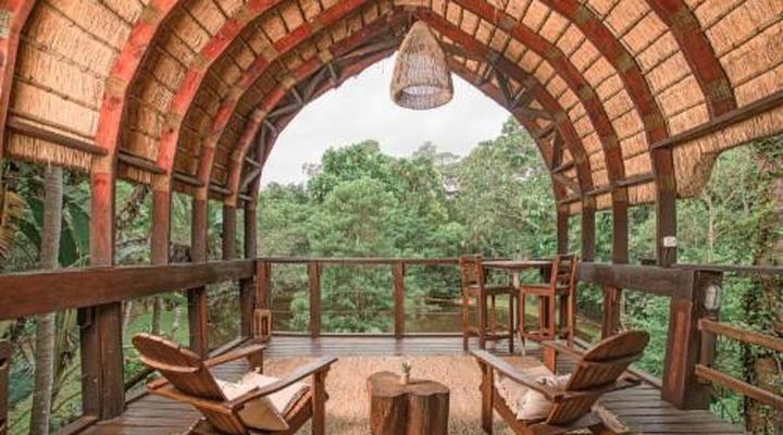 Serenity Mountain and Forest Lodge 