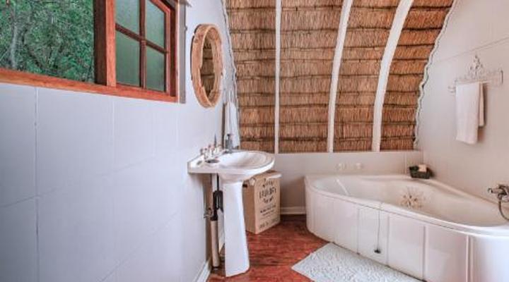 Serenity Mountain and Forest Lodge 