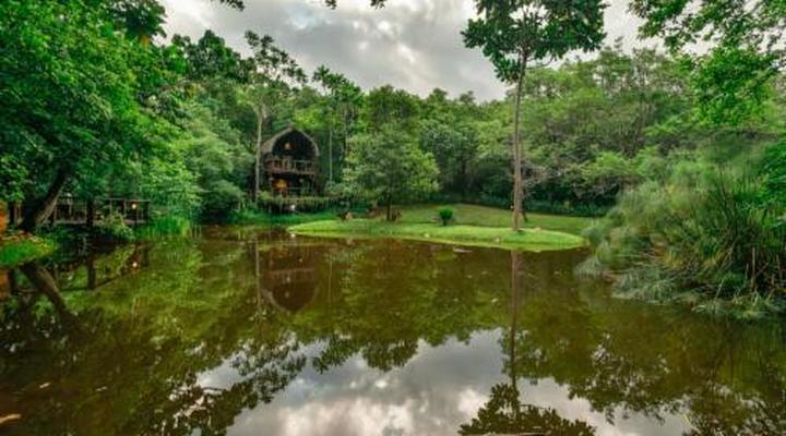 Serenity Mountain and Forest Lodge 
