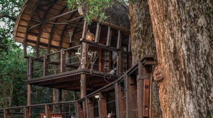 Serenity Mountain and Forest Lodge 