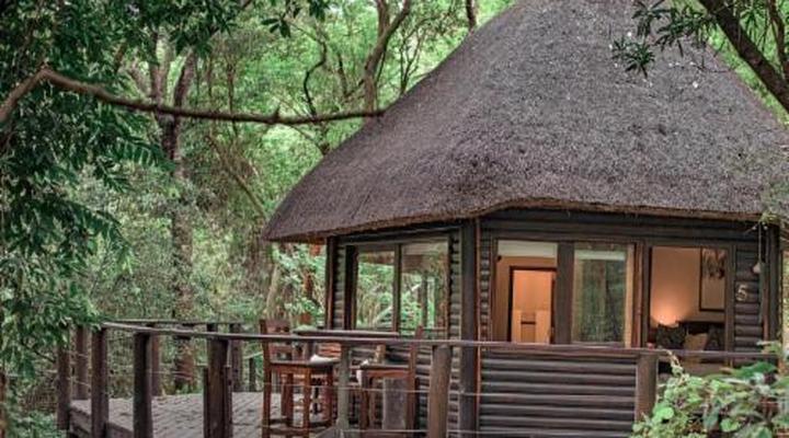 Serenity Mountain and Forest Lodge 