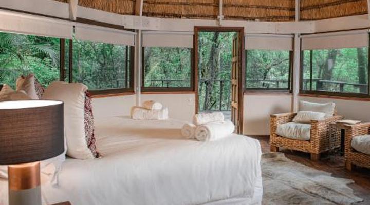 Serenity Mountain and Forest Lodge 