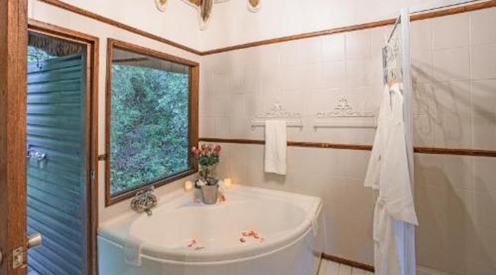 Serenity Mountain and Forest Lodge 