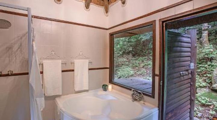 Serenity Mountain and Forest Lodge 