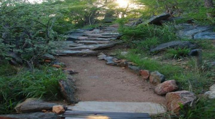 Parsons Hilltop Safari Camp