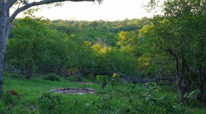 Parsons Hilltop Safari Camp