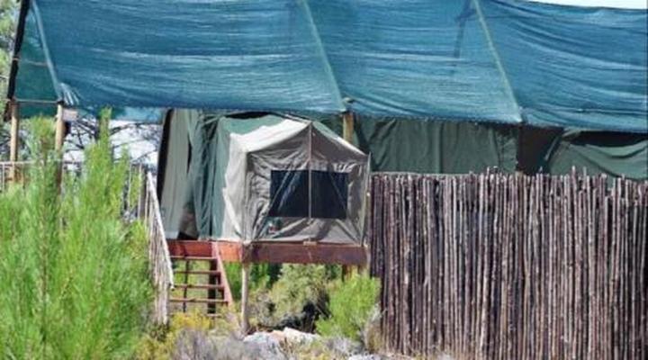 Otium Oasis Glamping & Camping