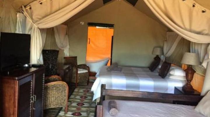 Otium Oasis Glamping & Camping