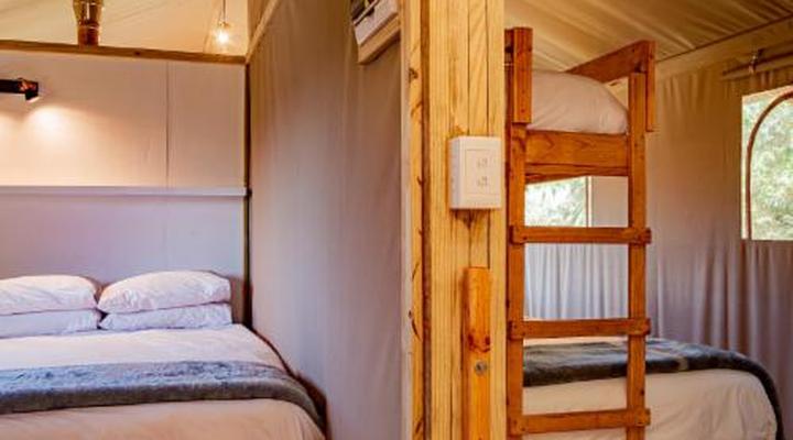 AfriCamps at White Elephant Safaris