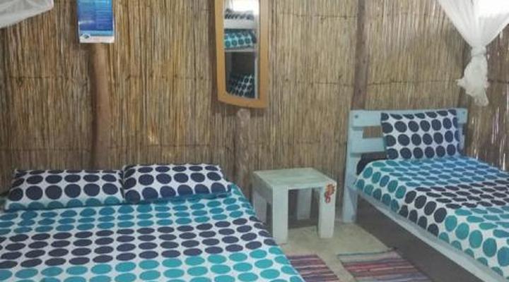 Underwater Explorers