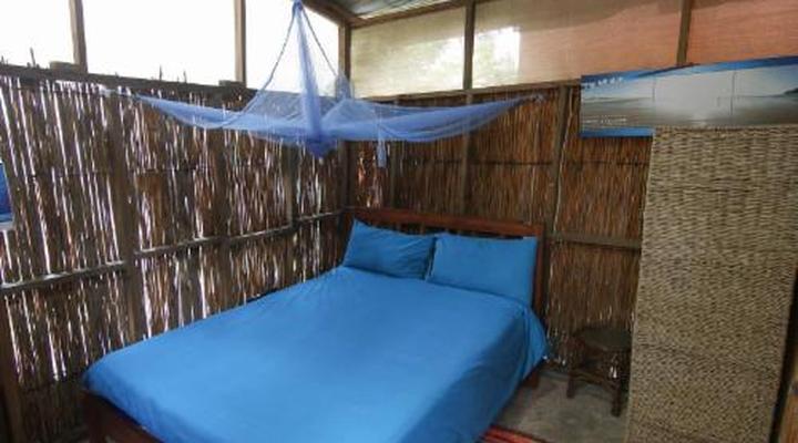 Underwater Explorers