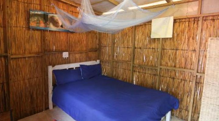 Underwater Explorers