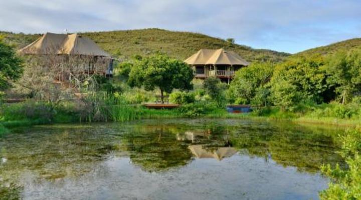 Garden Route Safari Camp