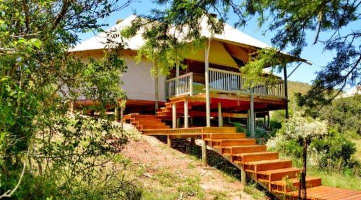 Garden Route Safari Camp