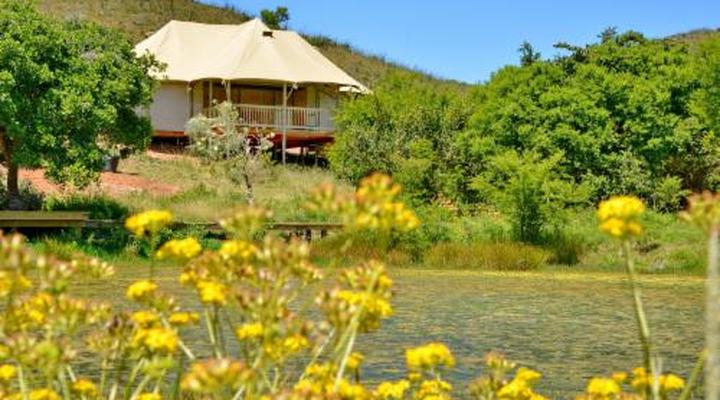 Garden Route Safari Camp