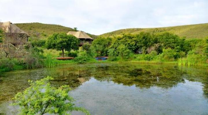 Garden Route Safari Camp