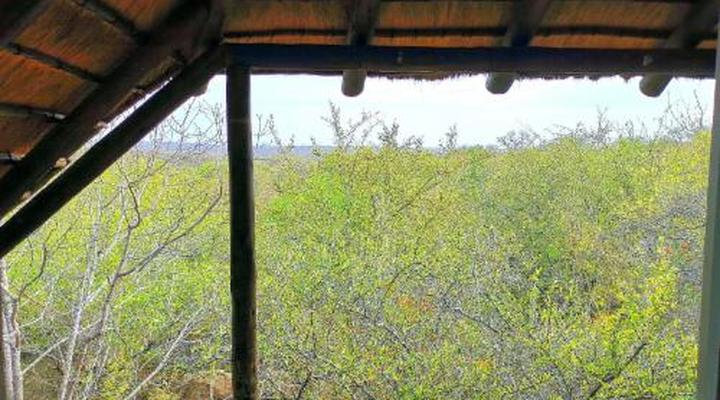 Mali Mali Safari Lodge