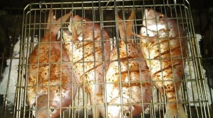 Villa Mia 6 Luxury Holiday Accomodation