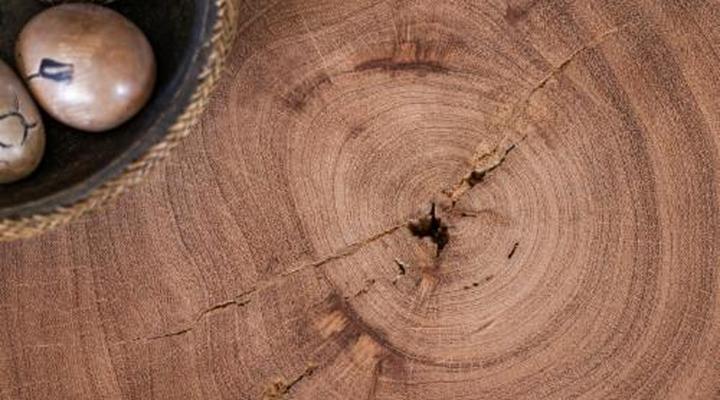 Berrydel LifeStyle Guesthouse