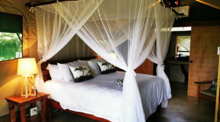 Little Africa Safari Lodge