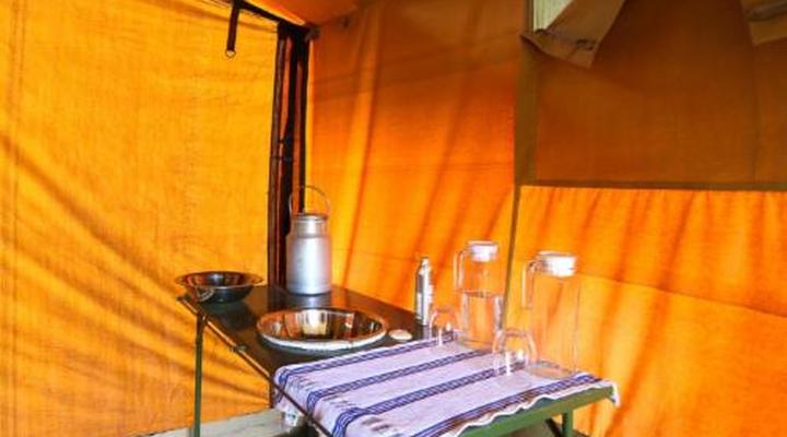 Porini Bush Camp
