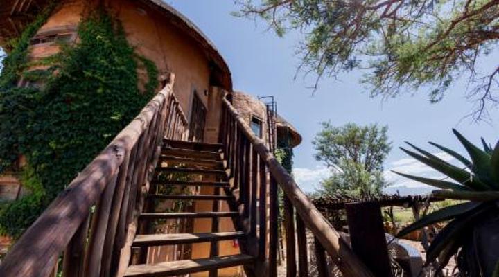 Amphitheatre Backpackers Lodge