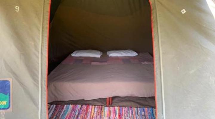 Amphitheatre Backpackers Lodge