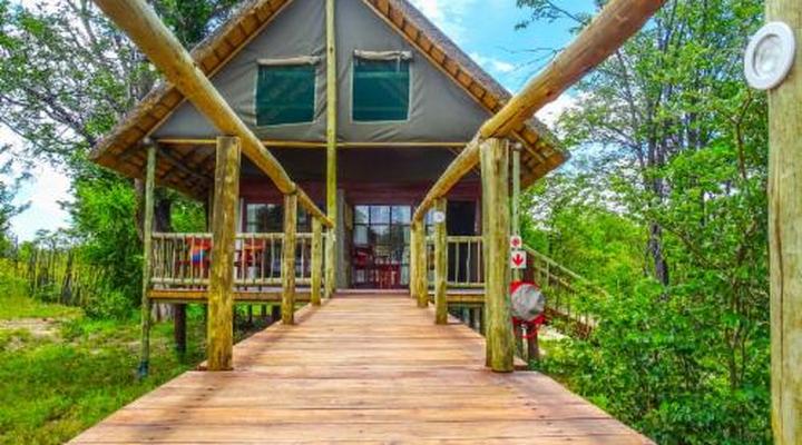 Chobe Mopani Forest Lodge