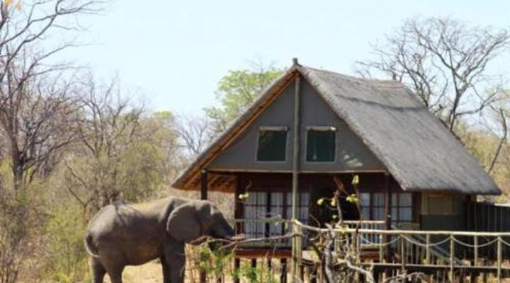 Chobe Mopani Forest Lodge