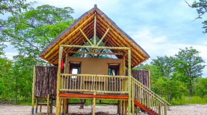 Chobe Mopani Forest Lodge
