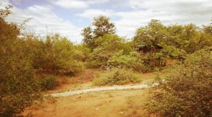 Kelora Bush Camp