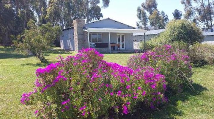 Willowdale Farm Cottages