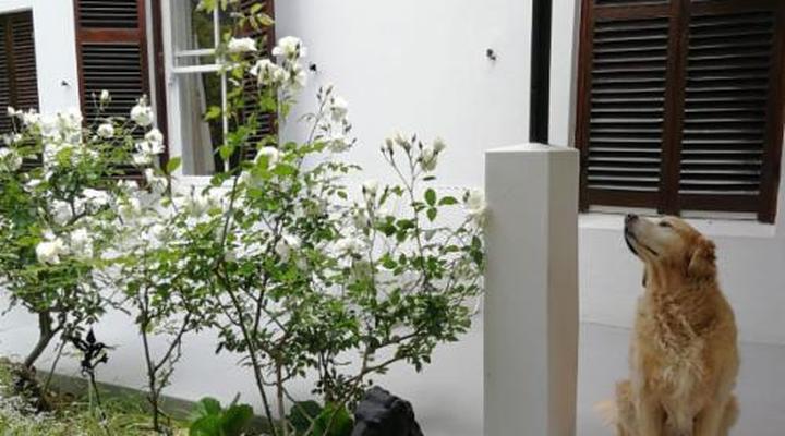 Westfield Guest House