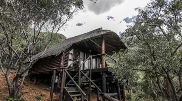 Leopard Lodge