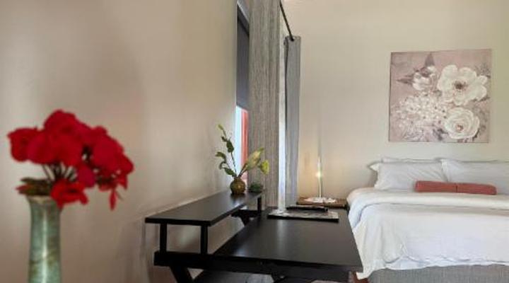 Merwenstein Guest Farm