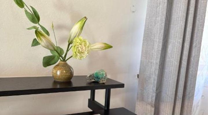 Merwenstein Guest Farm