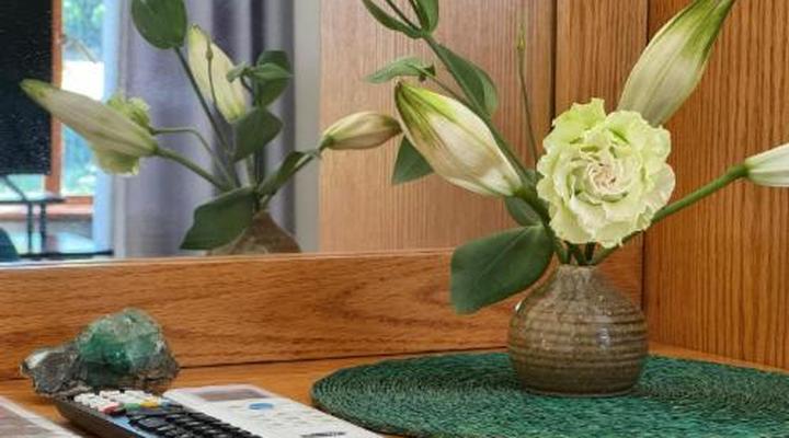 Merwenstein Guest Farm